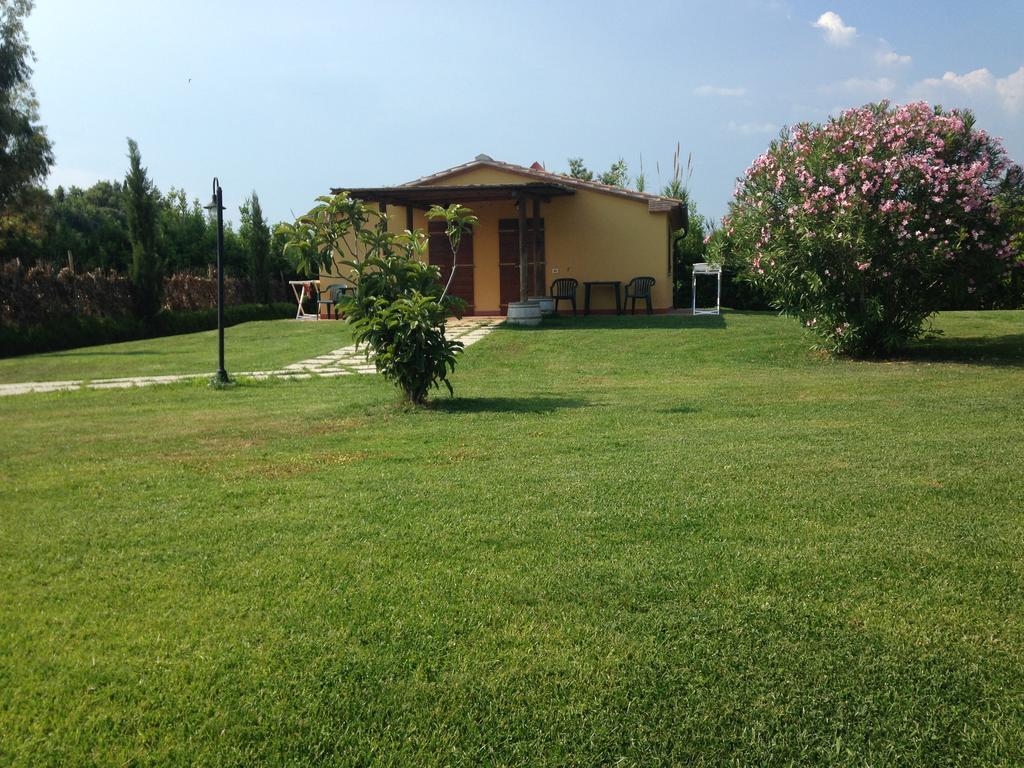 Agriturismo Eucaliptus Bolgheri Eksteriør bilde