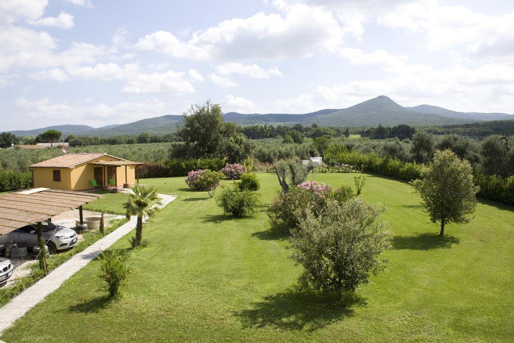 Agriturismo Eucaliptus Bolgheri Eksteriør bilde