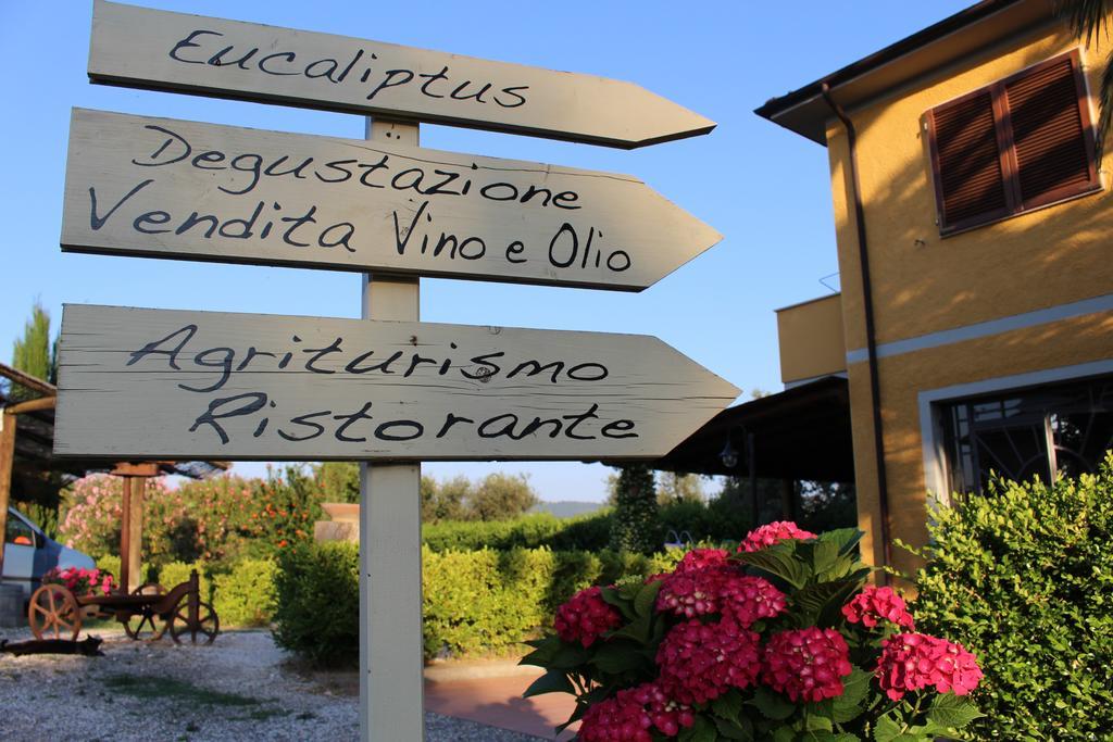 Agriturismo Eucaliptus Bolgheri Eksteriør bilde